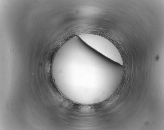 X0000094380230200711020832