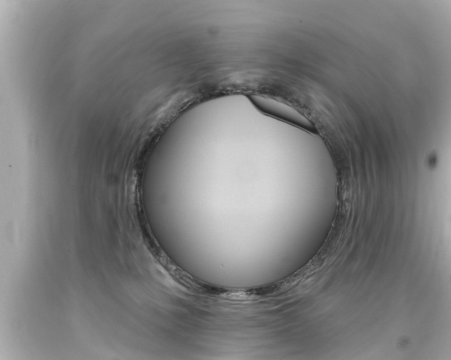 X0000094380231200711020832