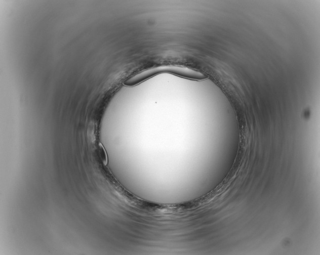 X0000094380232200711020832