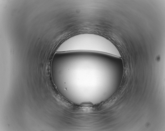 X0000094380233200711020832