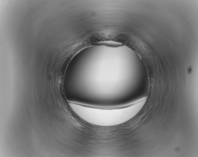 X0000094380235200711020832