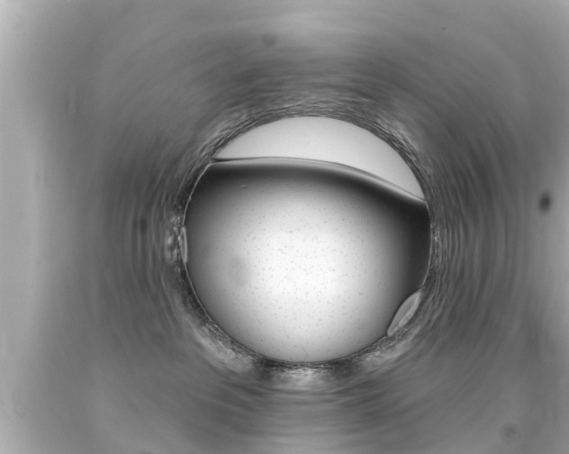 X0000094380237200711020832