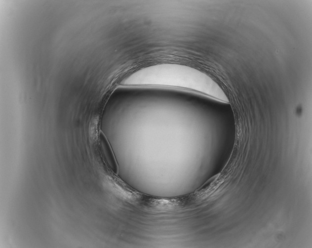 X0000094380239200711020832