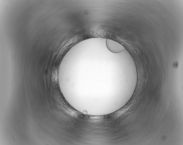 X0000094380240200711020832
