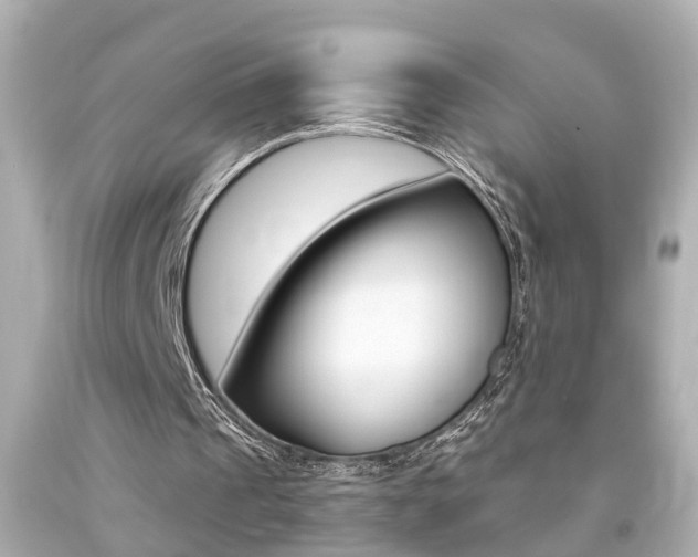 X0000094380241200711020831