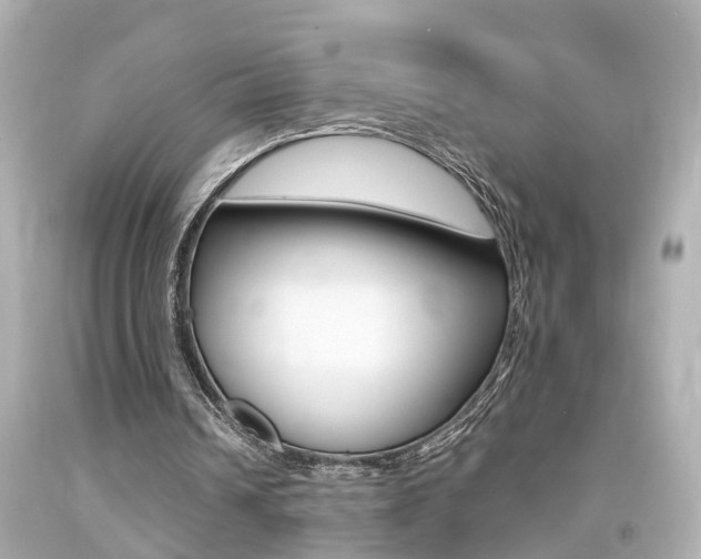 X0000094380242200711020831