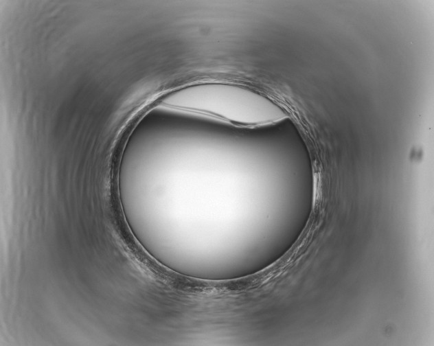 X0000094380243200711020831