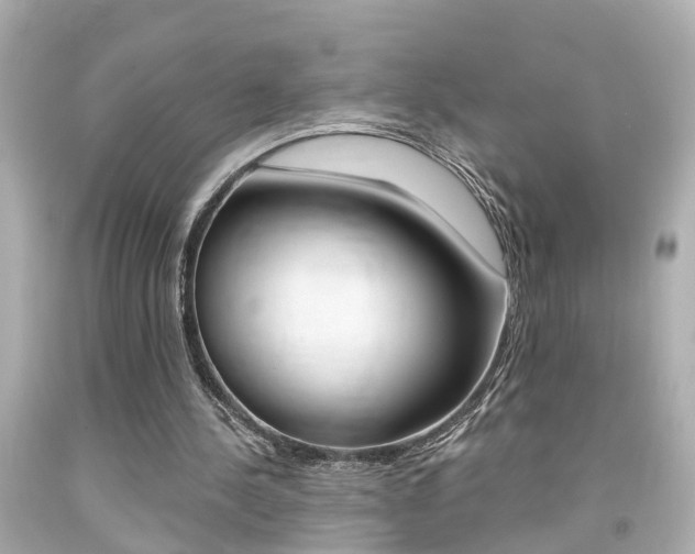 X0000094380244200711020831