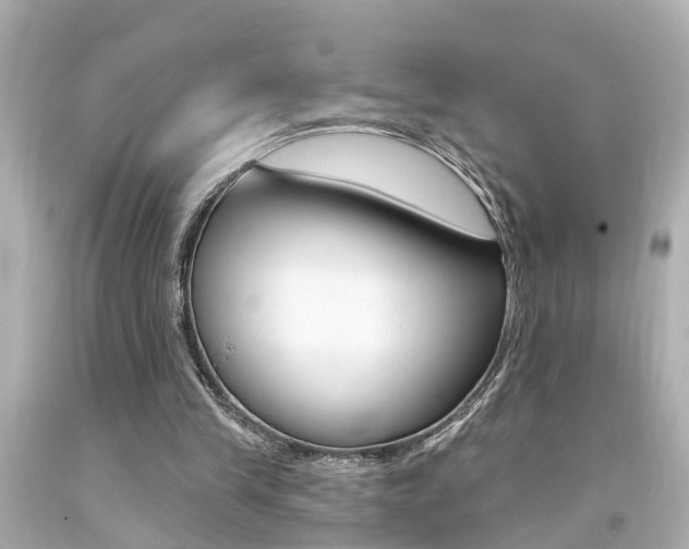 X0000094380245200711020831
