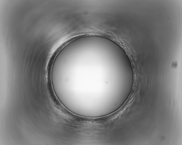 X0000094380246200711020831