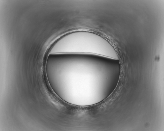 X0000094380247200711020831
