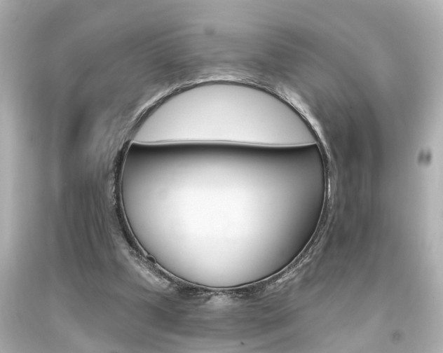 X0000094380249200711020831