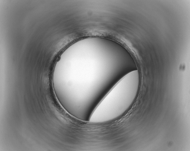 X0000094380250200711020831