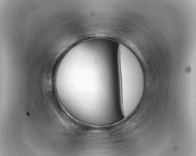 X0000094380251200711020831
