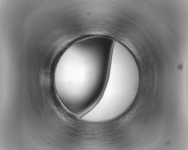X0000094380252200711020831