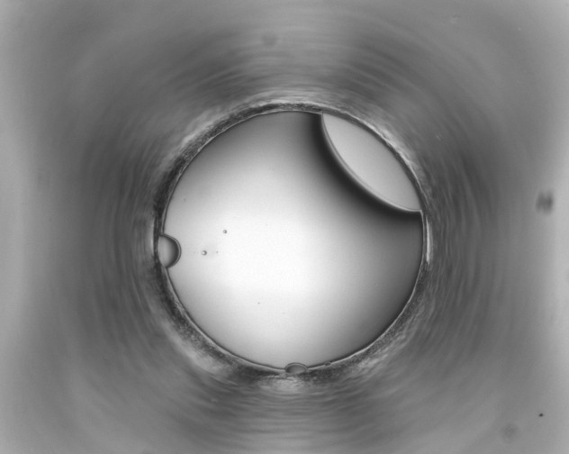 X0000094380253200711020831