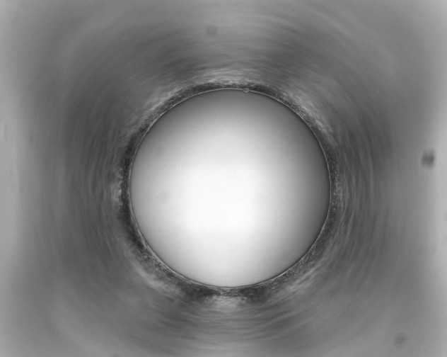 X0000094380255200711020831