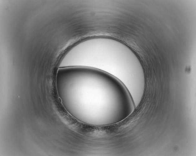 X0000094380256200711020831