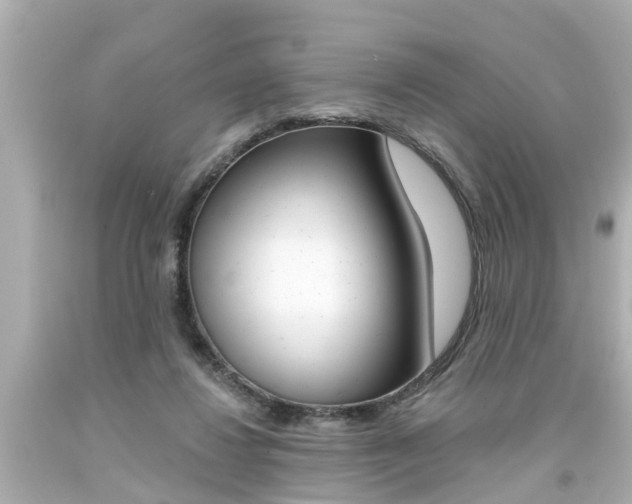 X0000094380260200711020831