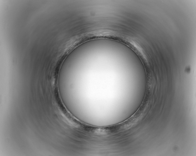 X0000094380261200711020832