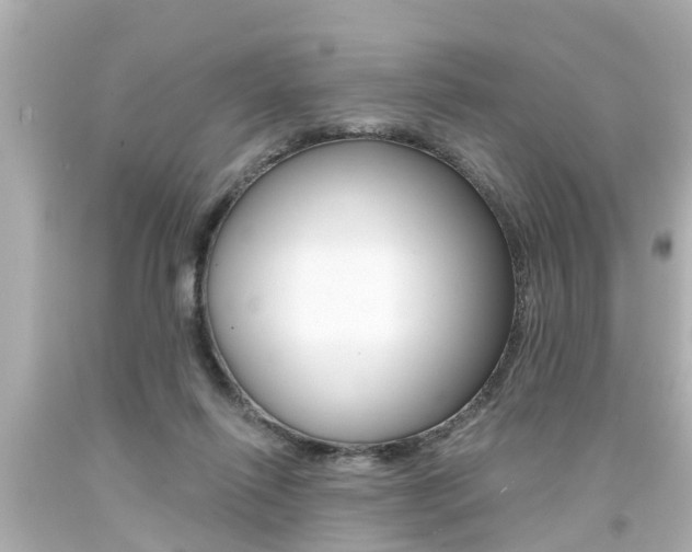 X0000094380262200711020832