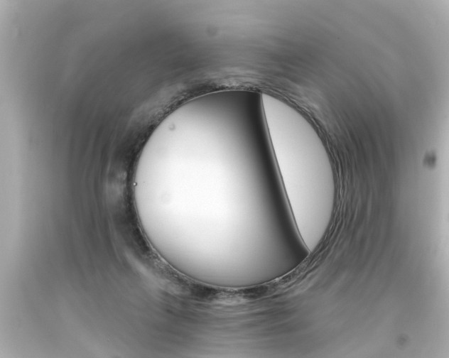 X0000094380263200711020832