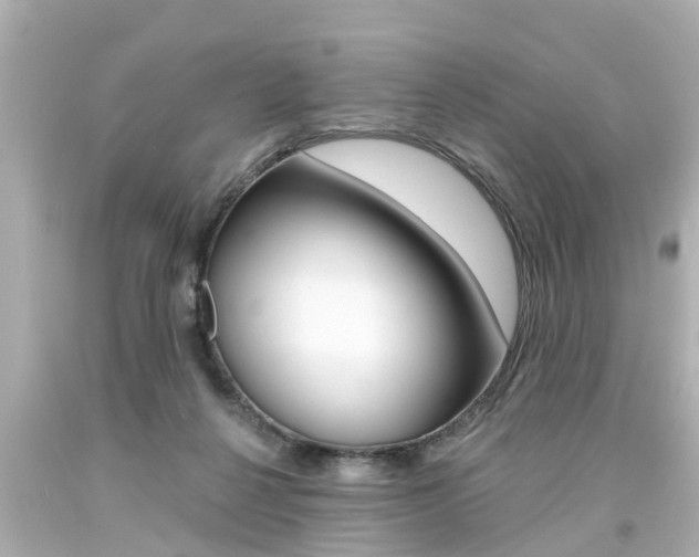 X0000094380264200711020832