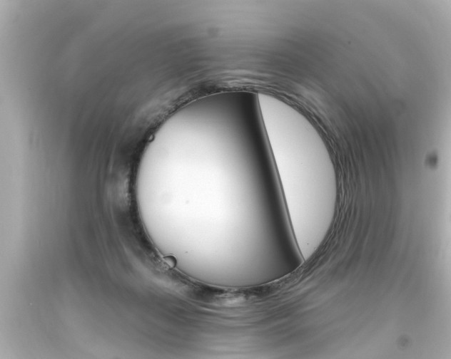 X0000094380267200711020832