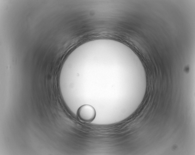 X0000094380268200711020832