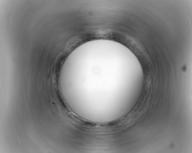 X0000094380270200711020832