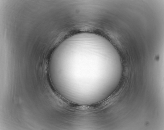 X0000094380273200711020832