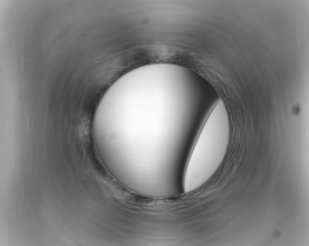 X0000094380274200711020832
