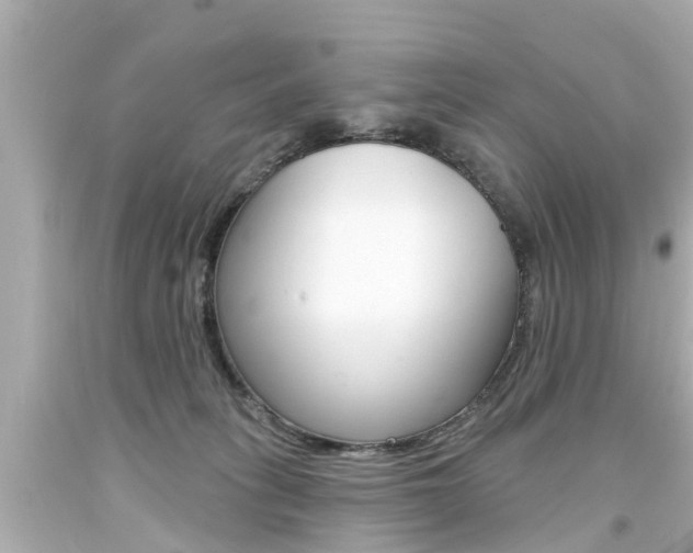 X0000094380275200711020832