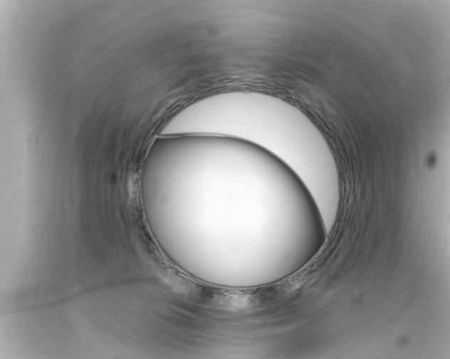X0000094380276200711020832