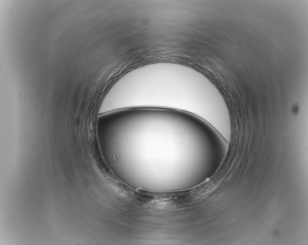 X0000094380280200711020832