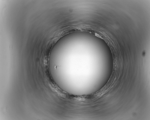 X0000094380284200711020832