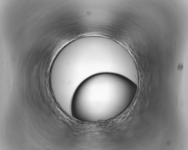 X0000094380289200711020831