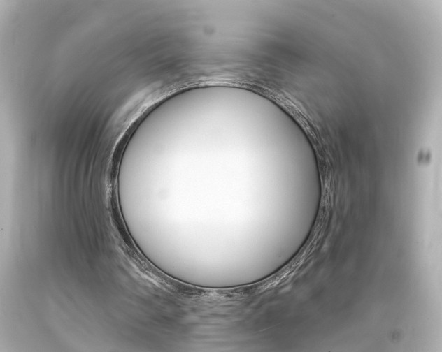 X0000094380290200711020831