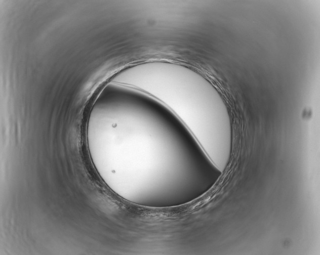 X0000094380291200711020831