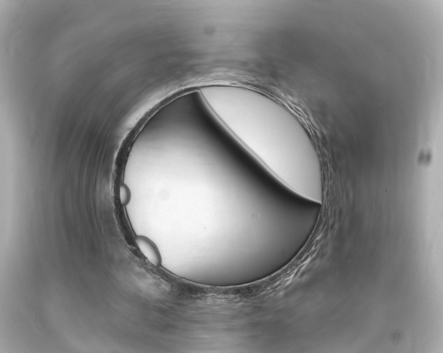 X0000094380292200711020831