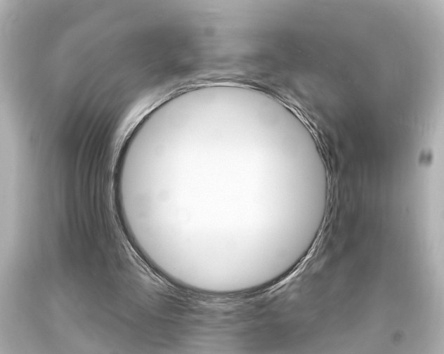 X0000094380293200711020831