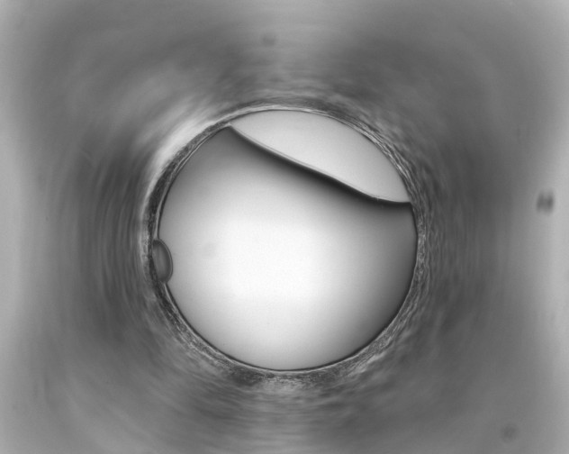 X0000094380294200711020831