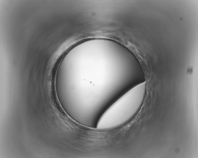 X0000094380295200711020831