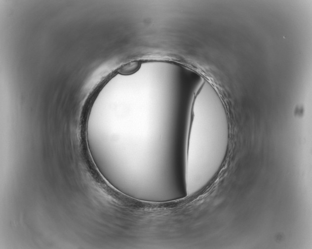 X0000094380296200711020831