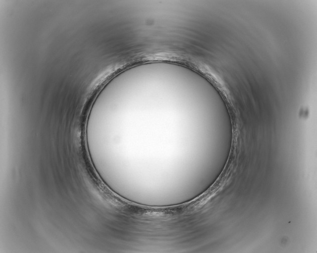 X0000094380298200711020831