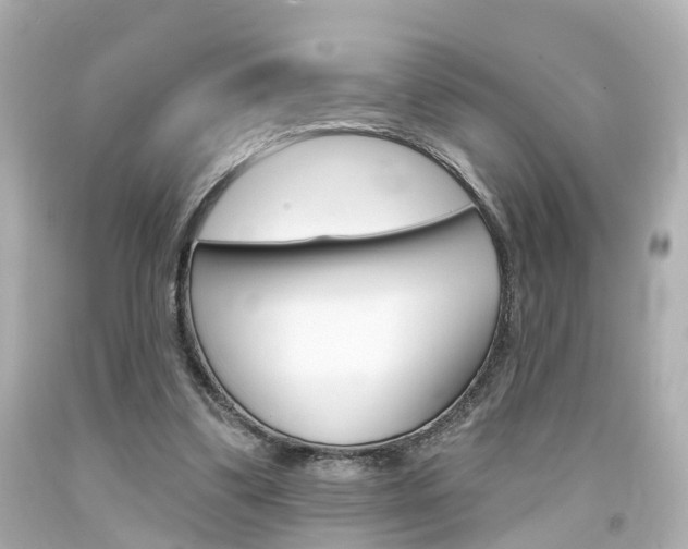 X0000094380299200711020831
