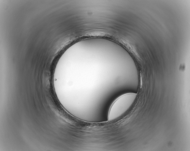 X0000094380300200711020831