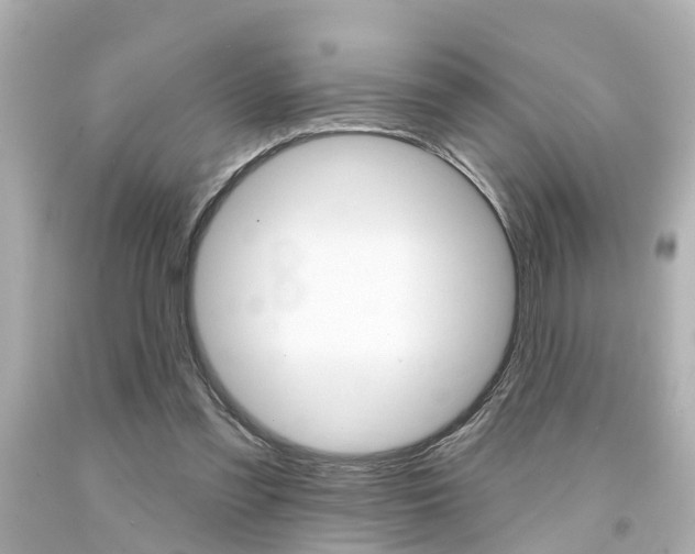 X0000094380301200711020831