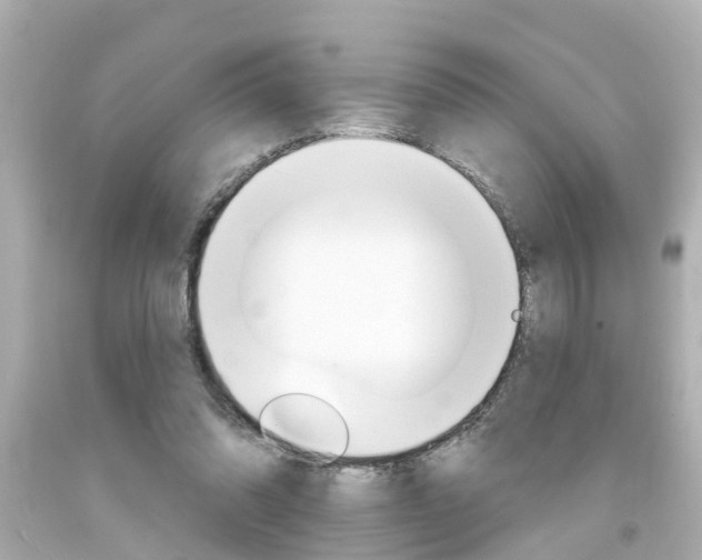 X0000094380302200711020831