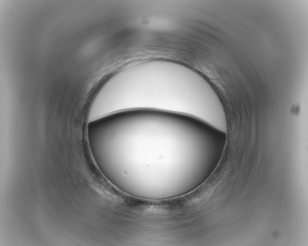X0000094380303200711020831